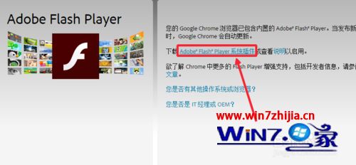 win7系统如何升级更新Adobe Flash Player插件