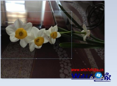 win7图片裁剪方法_怎么在win7裁剪图片