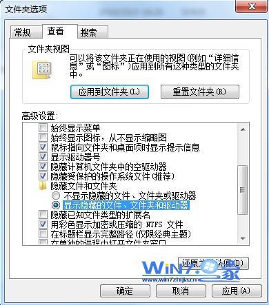 将“显示隐藏的文件、文件夹和驱动器”勾选