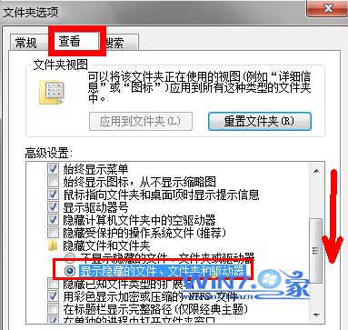 选中“显示隐藏的文件、文件夹和驱动器”项