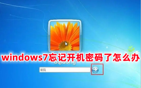 windows7忘记开机密码了怎么办 win7如何强制跳过密码进入电脑