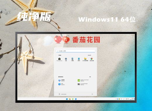 win11纯净版在哪下载 win11纯净版镜像下载