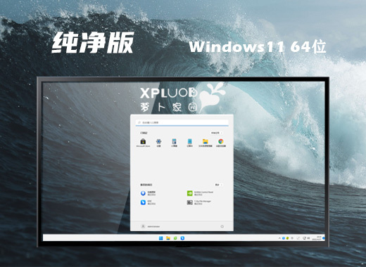 萝卜家园ghost win11系统下载 windows官方中文系统下载