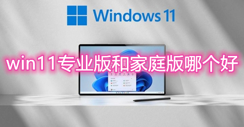 win11专业版和家庭版区别是什么哪个好 win11版系统免费下载安装教程