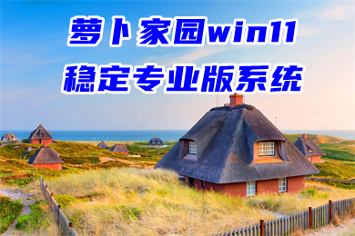 萝卜家园win11稳定专业版系统下载 win11官网中文版系统下载