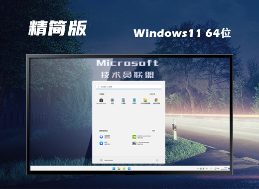 win11精简版系统镜像下载 win11最新tiny精简版系统免费下载