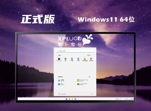 萝卜家园ghost win11系统下载 windows官方中文系统下载