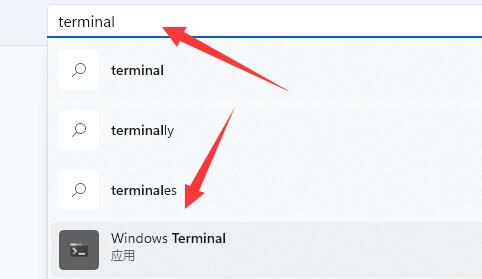 windows11终端找不到文件wt.exe怎么解决 win11系统提示没有wt.exe怎么办