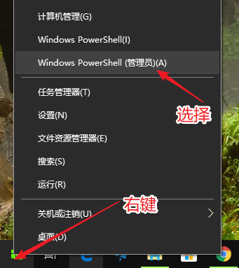 win11任务设置栏闪退怎么办 win11任务功能栏闪跳回桌面解决方法介绍