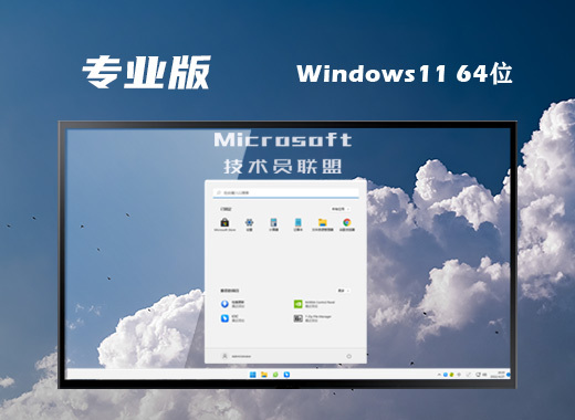 技术员联盟win11官方专业版系统下载 windows11最新安装版系统iso镜像下载