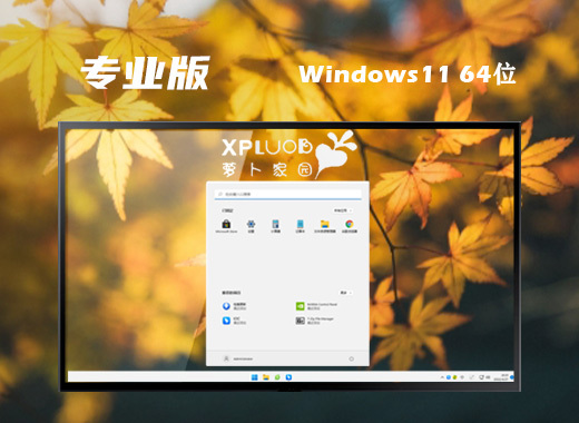 萝卜家园win11稳定专业版系统下载 win11官网中文版系统下载