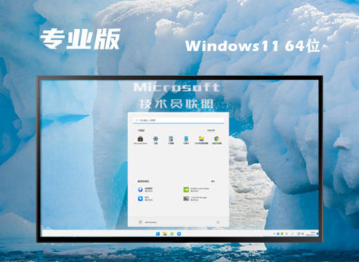 技术员联盟win11系统官方专业版下载 windows11稳定免费版系统镜像文件下载