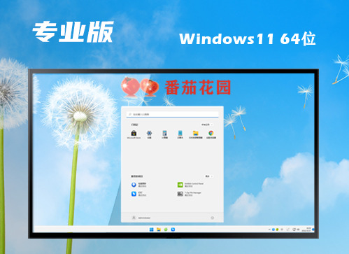 win11专业版下载官网原版 win11专业正式版镜像文件下载