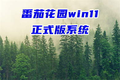 番茄花园win11正式版系统下载 ghost win11系统64位镜像下载