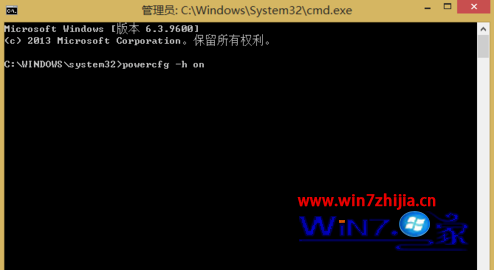输入“powercfg -h on”