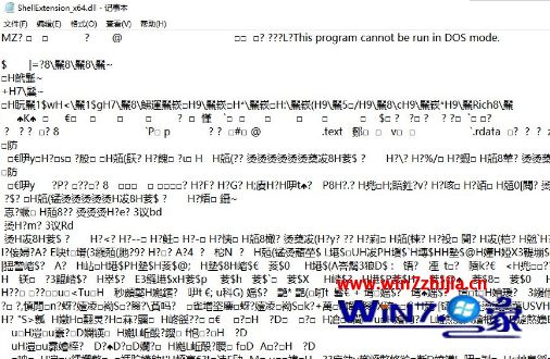 dll应用在win10环境下怎么使用_win10系统打开dll文件的方法