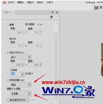 acdsee在win10中显示模糊怎么调_acdsee在win10里显示模糊的解决方法