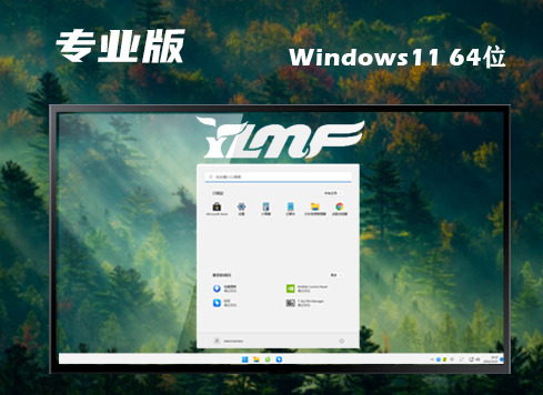 win11中文专业版下载 win11专业官方正式版下载