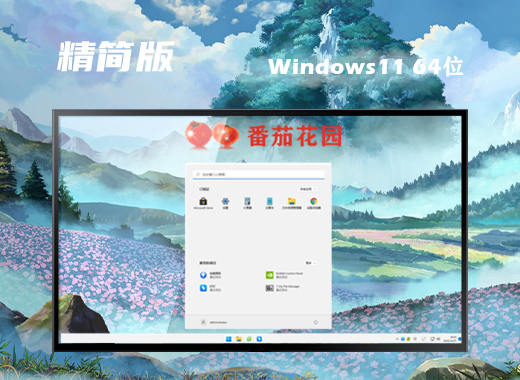 win11精简版系统镜像下载 win11最新tiny精简版系统免费下载