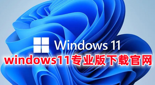 windows11专业版下载官网 windows11专业中文正版下载