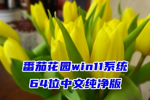 番茄花园win11系统64位中文纯净版