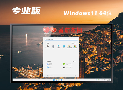 win11中文专业版下载 win11专业官方正式版下载