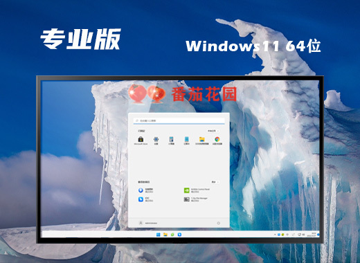 番茄花园win11系统64位官方正版下载 win11微软中文稳定版系统下载