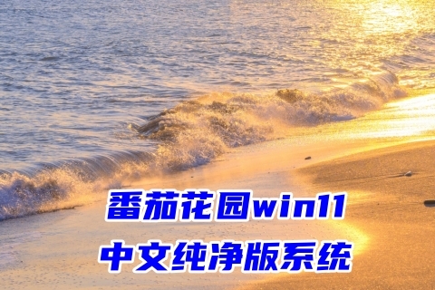 番茄花园win11中文纯净版系统