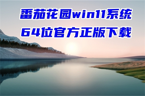 番茄花园win11系统64位官方正版