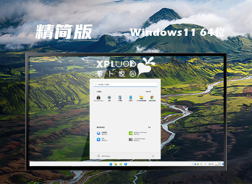 萝卜家园ghost win11系统下载 windows官方中文系统下载