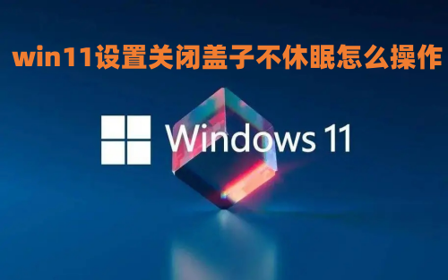 win11设置关闭盖子不休眠怎么操作 win11笔记本电脑关上盖子继续运行设置方法