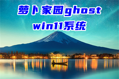 萝卜家园ghost win11系统