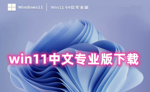 win11中文专业版下载 win11专业官方正式版下载