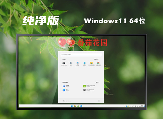 ghost win11绿色纯净版系统下载 windows11免激活纯净版系统下载