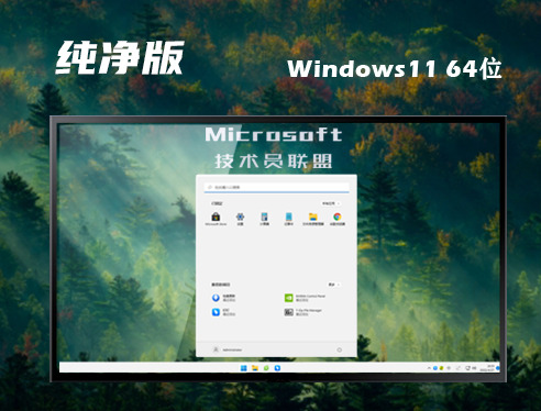 win11纯净版系统下载 win11纯净官网正式中文版下载地址