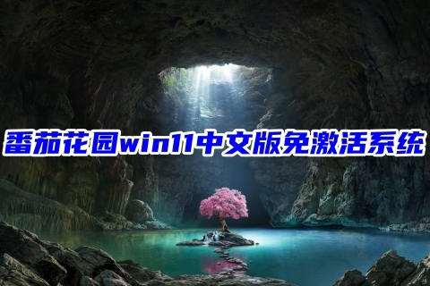 番茄花园win11中文版免激活系统