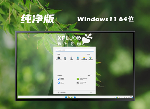 萝卜家园ghost win11纯净版系统下载 windows11系统64位中文镜像文件下载