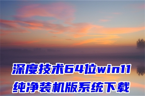 深度技术64位win11纯净装机版系统