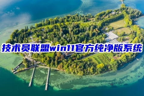 技术员联盟win11官方纯净版系统