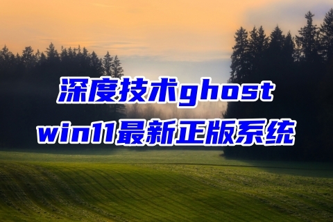 深度技术ghost win11最新正版系统