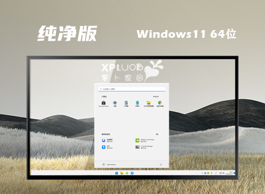 windows11最新稳定版系统下载 微软win11官方正式版系统下载