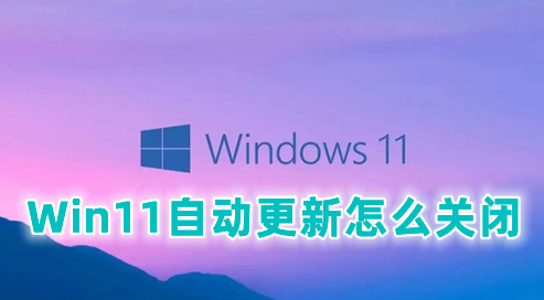 Win11自动更新怎么关闭 彻底关闭Win11自动更新最全方法