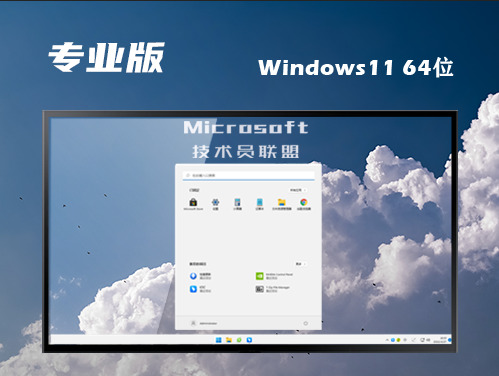 win11专业版下载官网原版 win11专业正式版镜像文件下载