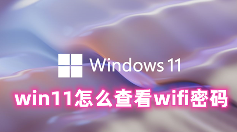 win11怎么查看wifi密码 win11查看已连接的wifi密码的方法分享