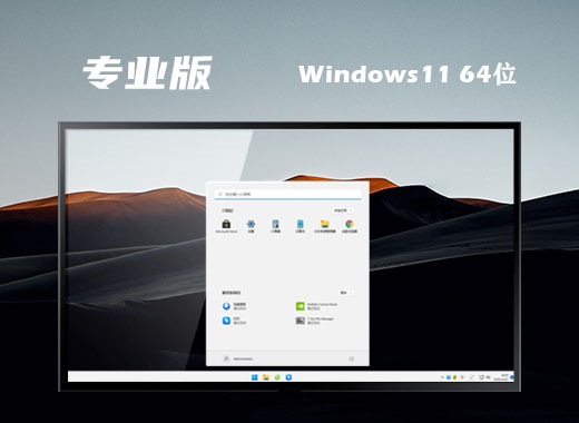 win11专业版下载官方地址 win11专业中文版64位镜像下载