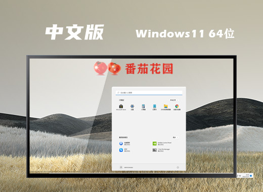 windows11最新安装版系统下载 微软win11官方64位镜像文件下载