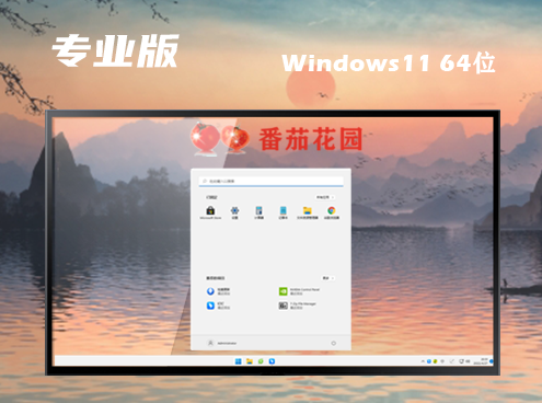 win11专业版镜像官网版下载 win11专业原版正式版下载