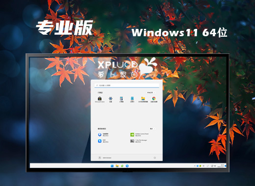 萝卜家园win11稳定专业版系统下载 win11官网中文版系统下载