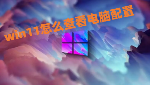 win11怎么查看电脑配置 win11看电脑的型号和配置方法介绍