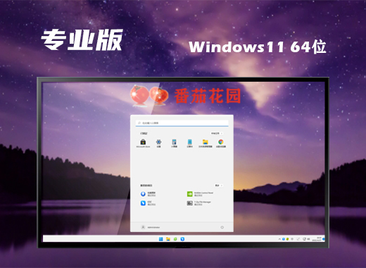 win11专业版下载原版 win11专业官方版镜像文件下载